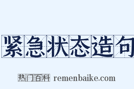 紧急状态造句是什么意思的图片